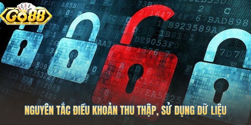 Chính sách bảo mật quy định thu thập dữ liệu minh bạch
