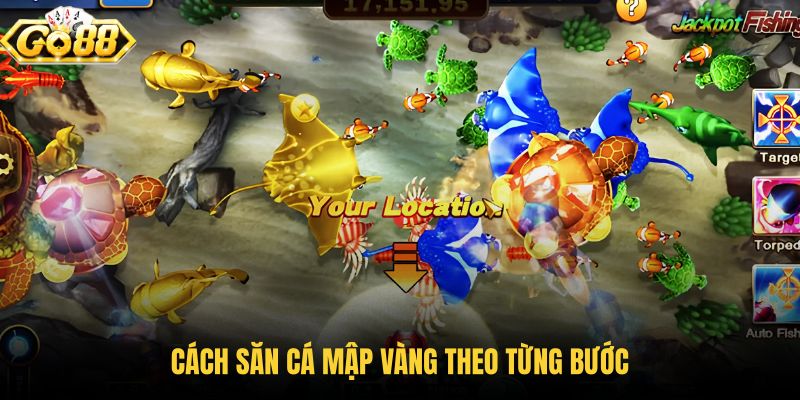 cach-san-ca-map-vang-theo-tung-buoc cach-san-ca-map-vang-theo-tung-buoc