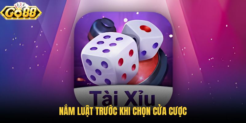 nam-luat-truoc-khi-chon-cua-cuoc nam-luat-truoc-khi-chon-cua-cuoc
