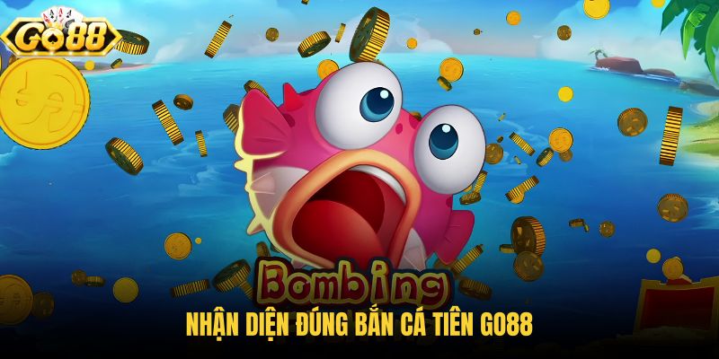 nhan-dien-dung-ban-ca-tien-go88 nhan-dien-dung-ban-ca-tien-go88